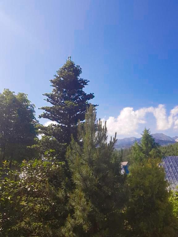 Pokoje Gosinne U Ani I Andrzeja Ciche Male Luaran gambar